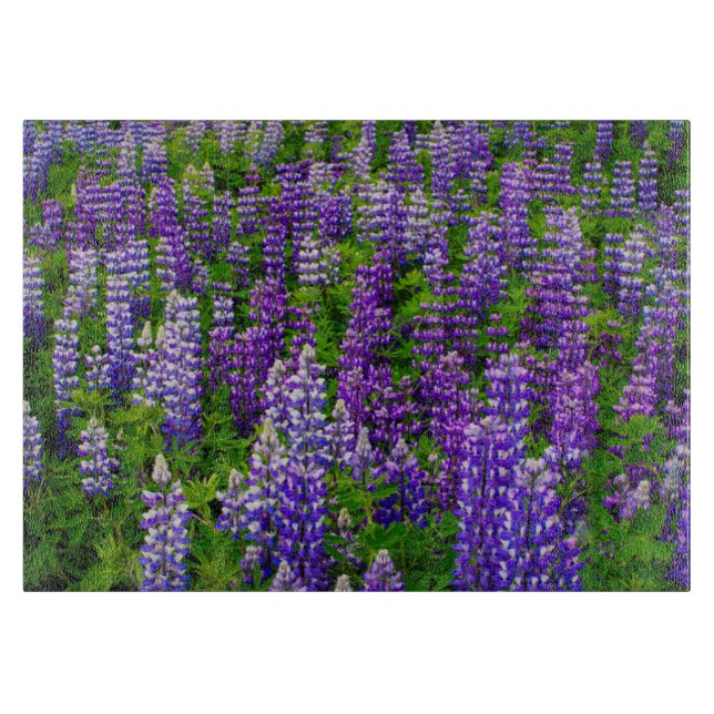 Iceland. Vik i Myrdal. Field of Lupines Cutting Board (Front)