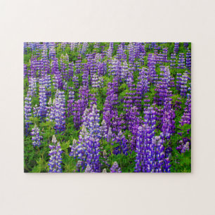 Iceland. Vik i Myrdal. Field of Lupines Jigsaw Puzzle