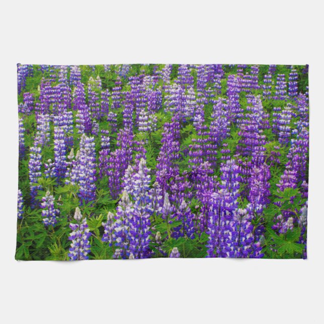 Iceland. Vik i Myrdal. Field of Lupines Kitchen Towel (Horizontal)
