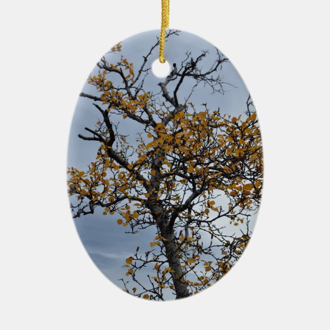 Icelandic Birch Ornament (Front)