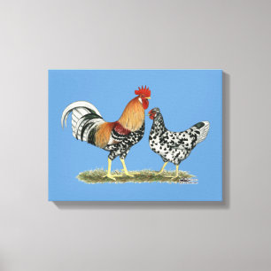 Icelandic Chickens Canvas Print