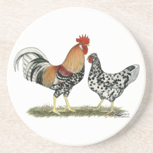 Icelandic Chickens Coaster