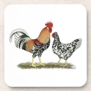 Icelandic Chickens Coaster
