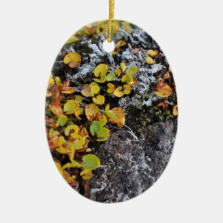 Icelandic Ground Cover Ornament