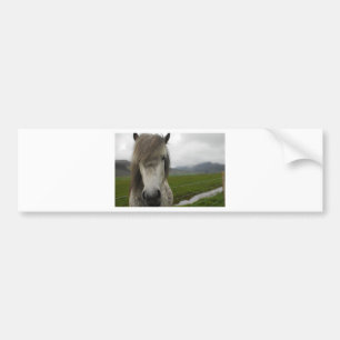 Icelandic Horse Bumper Sticker