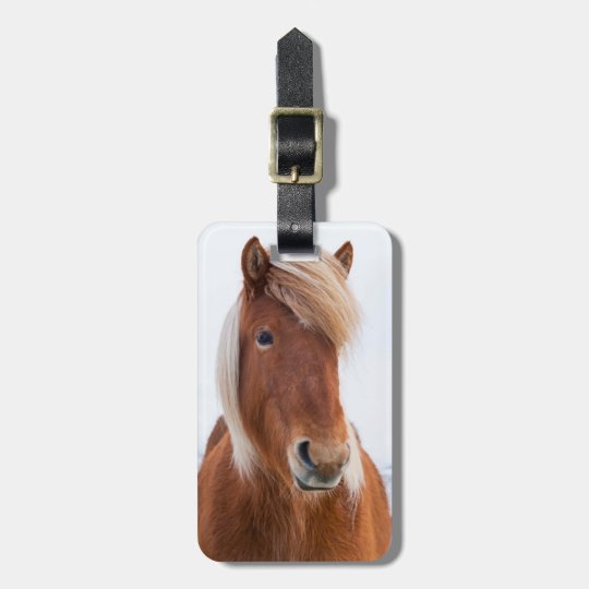 Icelandic Horse during winter 2 Luggage Tag