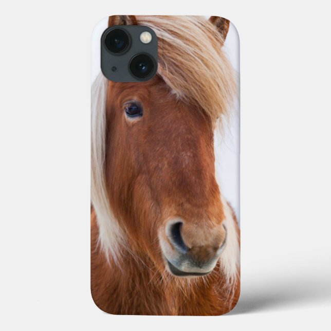 Icelandic Horse during winter Case-Mate iPhone Case (Back)