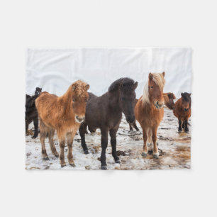 Icelandic Horse During Winter Iceland Fleece Blanket