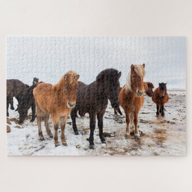 Icelandic Horse During Winter Iceland Jigsaw Puzzle (Horizontal)