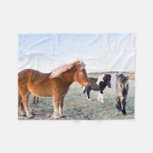 Icelandic Horse During Winter on Iceland Fleece Blanket
