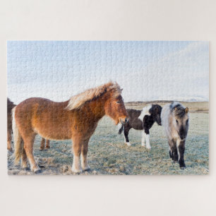 Icelandic Horse During Winter on Iceland Jigsaw Puzzle
