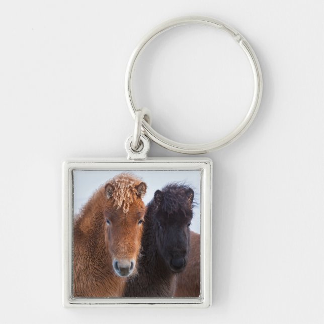 Icelandic Horse during winter on Iceland Keychain (Front)