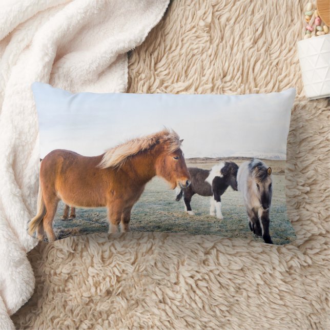 Icelandic Horse During Winter on Iceland Lumbar Pillow (Blanket)
