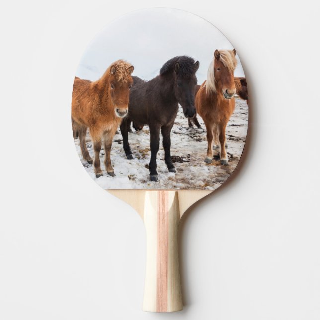 Icelandic Horse during winter on Iceland Ping Pong Paddle (Front)