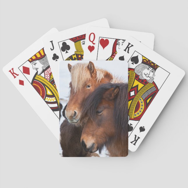 Icelandic Horse during winter on Iceland Playing Cards (Back)