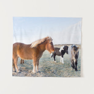 Icelandic Horse During Winter on Iceland Tapestry