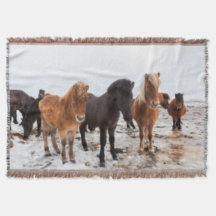 Icelandic Horse during winter on Iceland Throw Blanket