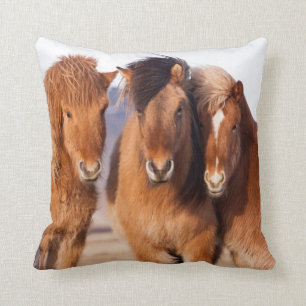Icelandic Horse during winter Throw Pillow