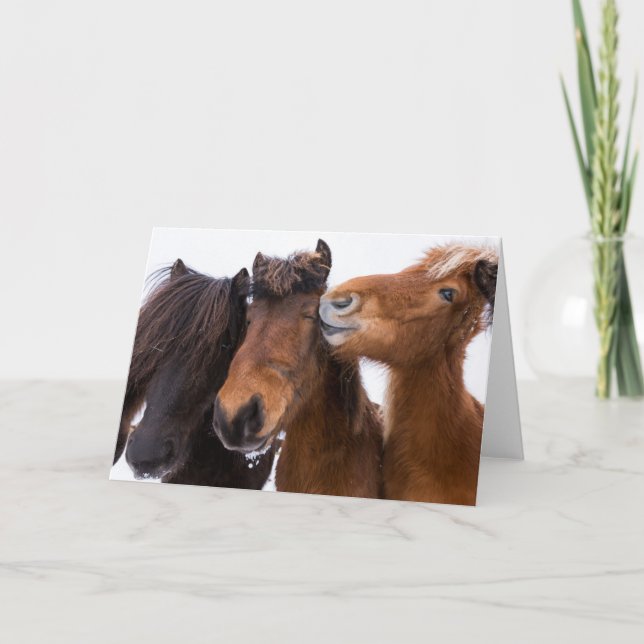 Icelandic Horse Friends, Iceland Card (Front)