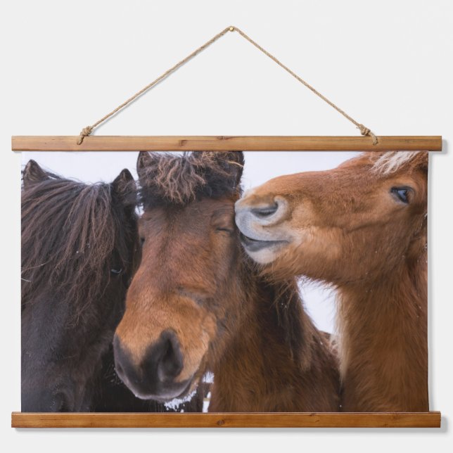 Icelandic Horse Friends, Iceland Hanging Tapestry (Front)