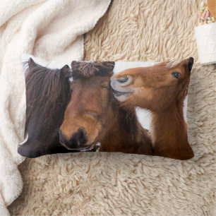 Icelandic Horse Friends, Iceland Lumbar Pillow