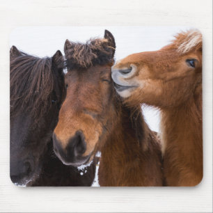 Icelandic Horse friends, Iceland Mouse Pad