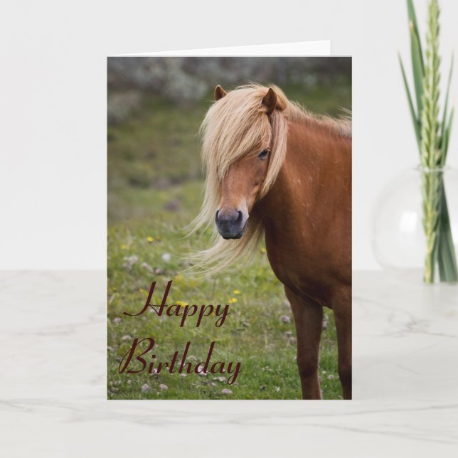 Icelandic Horse Happy Birthday Greeting Card (Front)