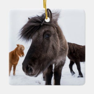 Icelandic Horse portrait, Iceland Ceramic Ornament