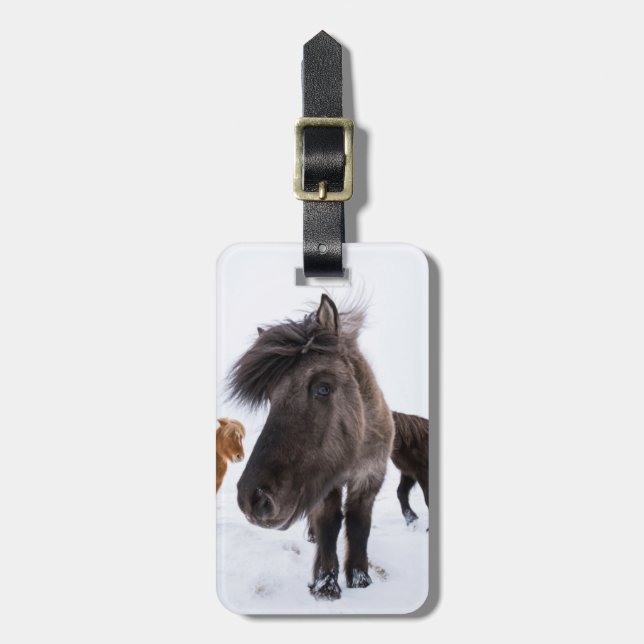 Icelandic Horse portrait, Iceland Luggage Tag (Front Vertical)