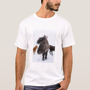 Icelandic Horse portrait, Iceland T-Shirt