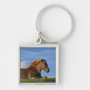 Icelandic horse resting and sky keychain