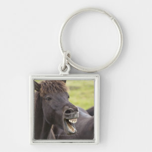 Icelandic horse with funny expression keychain