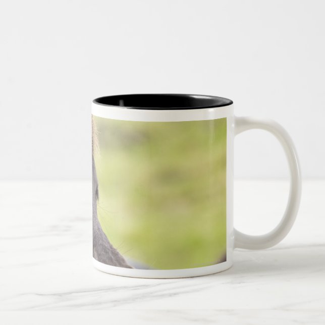 Icelandic horse with funny expression Two-Tone coffee mug (Right)