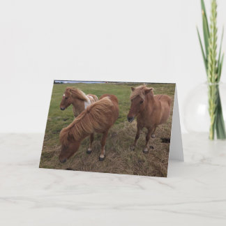 Icelandic Horses Card
