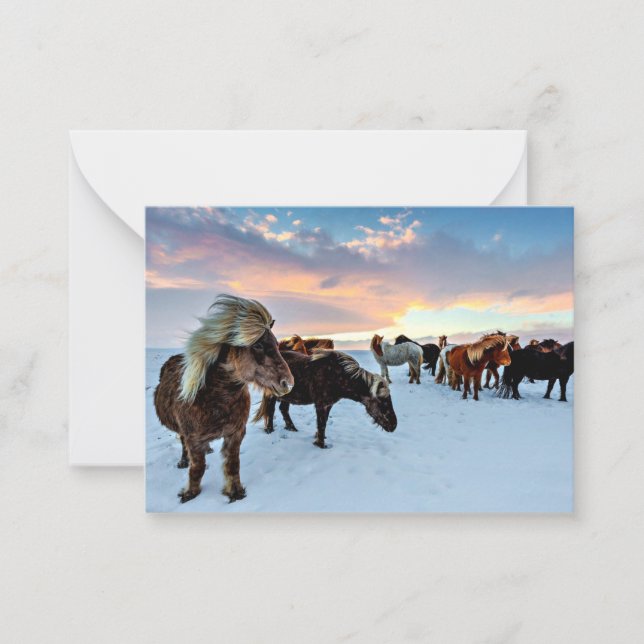 Icelandic Horses Card (Front)