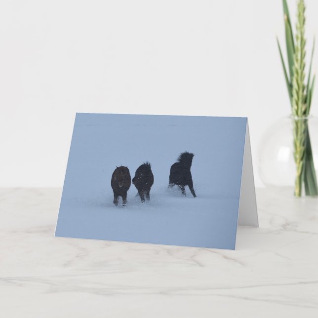 Icelandic Horses Card (Front)