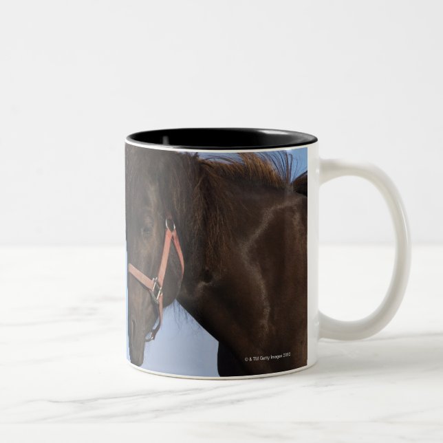 Icelandic horses facing each other Two-Tone coffee mug (Right)