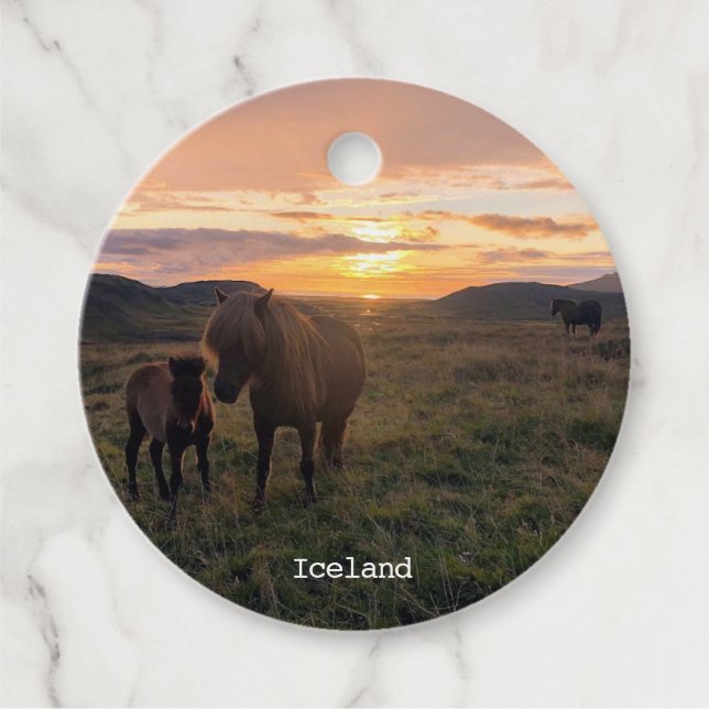 Icelandic horses - favour tags (Front)