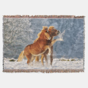 Icelandic Horses Foal Playing in Snow Funny Photo Throw Blanket