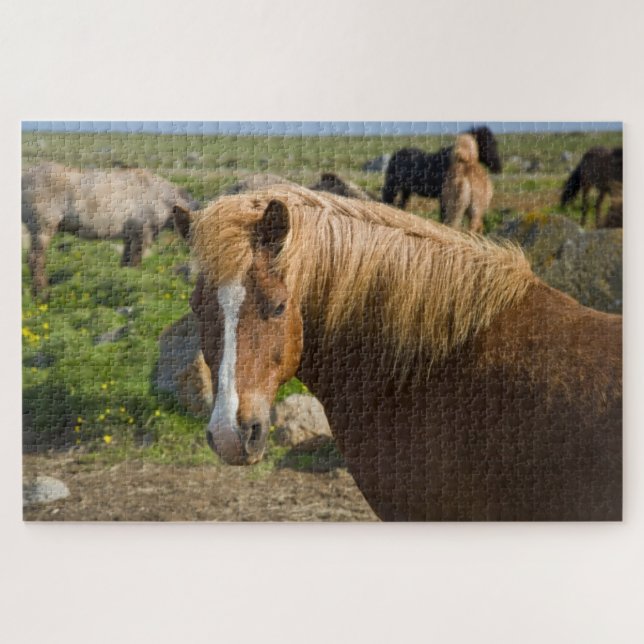 Icelandic Horses in Northeastern Iceland Jigsaw Puzzle (Horizontal)