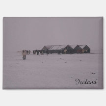 Icelandic horses in the snow magnet