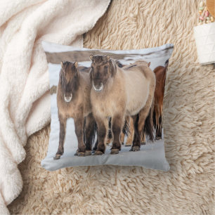 Icelandic Horses in Winter Near Hofn, Iceland Throw Pillow