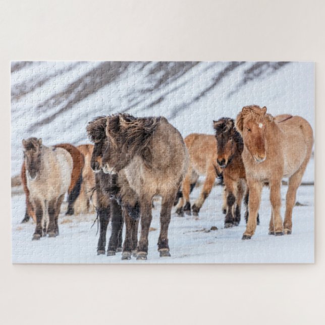 Icelandic Horses in Winter Pasture Near Hofn Jigsaw Puzzle (Horizontal)