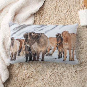 Icelandic Horses in Winter Pasture Near Hofn Lumbar Pillow