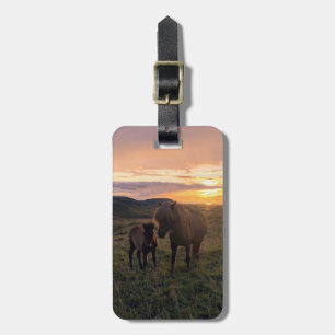 Icelandic horses - luggage tag