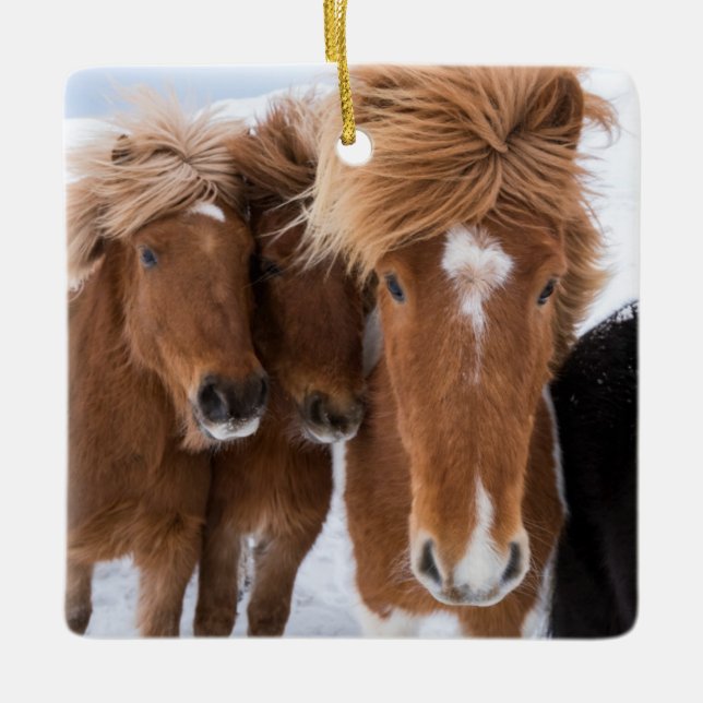Icelandic Horses nuzzle, Iceland Ceramic Ornament (Front)