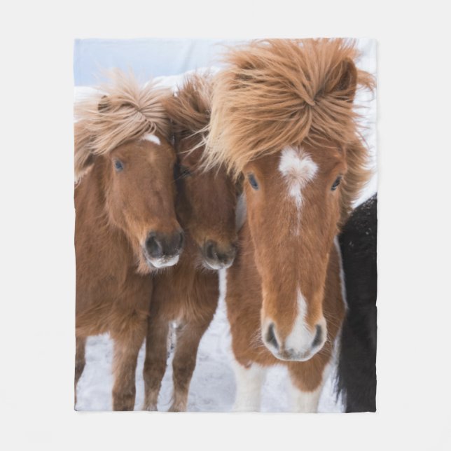 Icelandic Horses nuzzle, Iceland Fleece Blanket (Front)