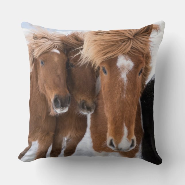 Icelandic Horses nuzzle, Iceland Throw Pillow (Front)