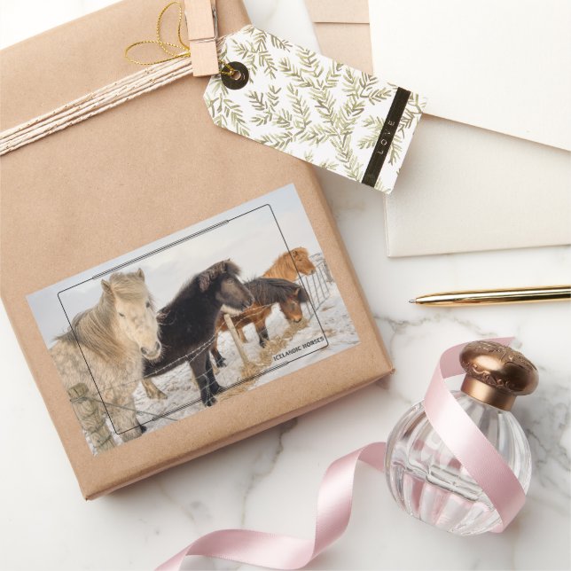 Icelandic Horses Sticker (Gifting)