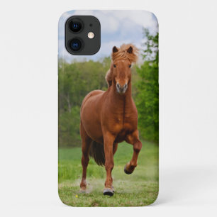 Icelandic Pony at a Tölt Funny Photo Horse Lovers iPhone 11 Case
